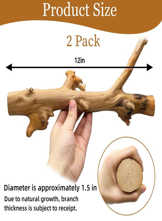 كاثسون غصنان لتسلق الثعابين من كاثرون، زينة أغصان خشبية للزواحف، إكسسوارات تسلق خشبية مصقولة طبيعية للسحالي، زينة جذوع الأشجار لأحواض الزواحف، مناسبة للتنانين الملتحية، والوزغات، والحرباء، والضفادع. - Image 2